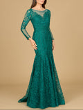 Mermaid, Long Sleeve Lace Gown