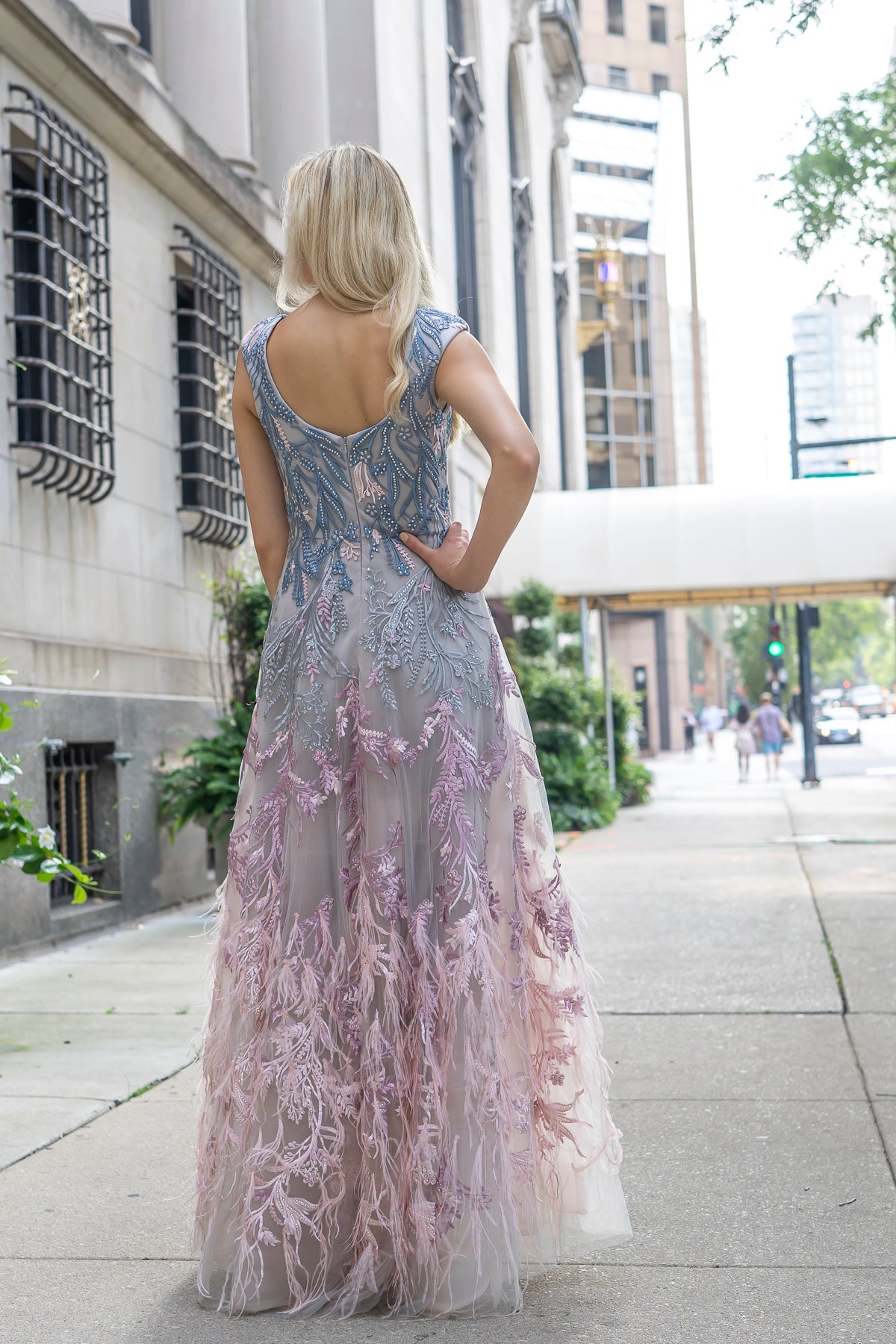 Cap Sleeves Feather Detail Ballgown | 29783