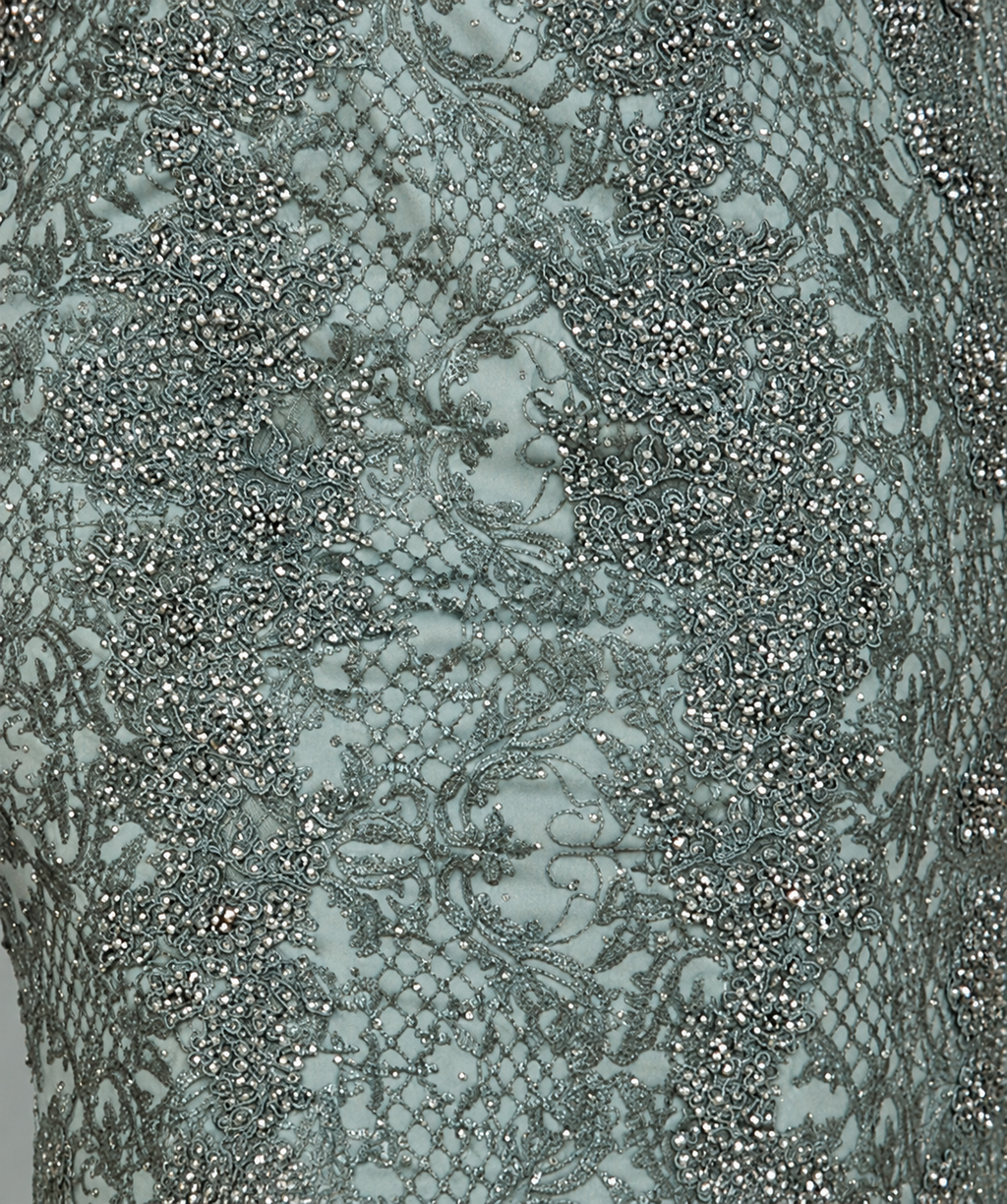 Fitted Lace Mermaid Gown